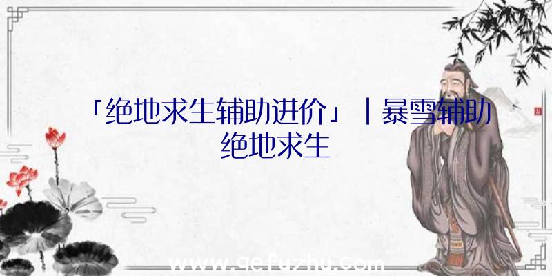 「绝地求生辅助进价」|暴雪辅助绝地求生